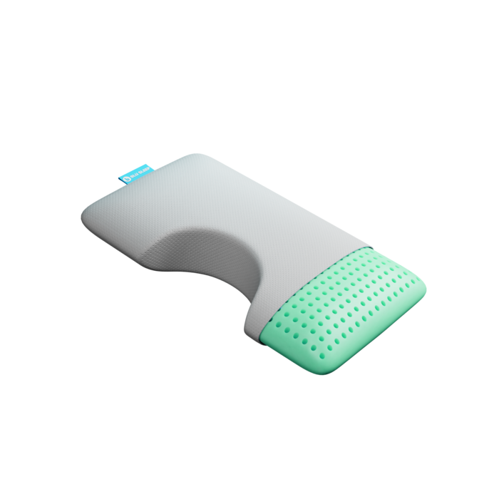 Bio Aloe Surround Foam Pillow