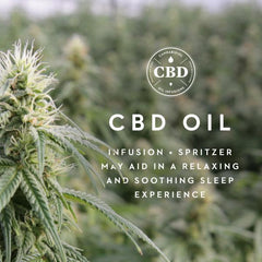 Z PILLOW Shoulder Zoned Dough™ + CBD Oil